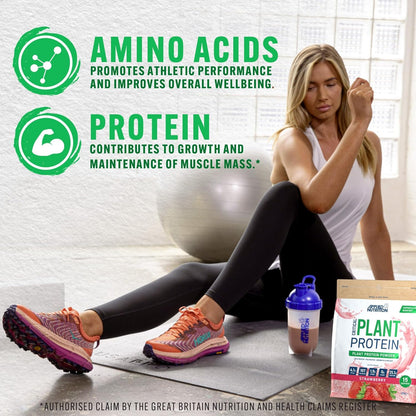 Applied Nutrition Critical Plant Protein 450g | 24g Vegan Protein | 3 Flavours