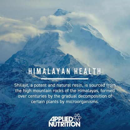 Applied Nutrition Shilajit 90 Capsules