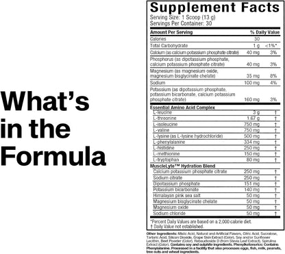 MuscleTech Platinum EAA 401g | All 9 Essential Amino Acids | 30 Servings | 3 Flavours