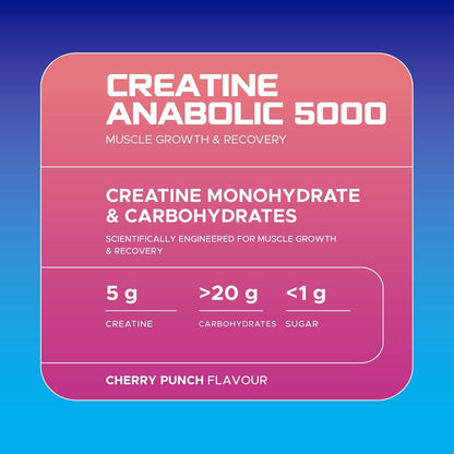 USN Creatine Anabolic 5000 | 900g | Creatine + BCAA + Carbs | 5 Flavours